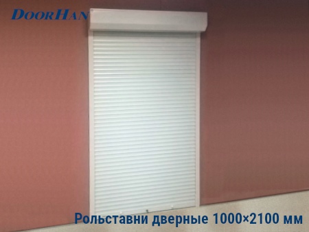 Рольставни на двери 1000×2100 мм в Иркутске от 34636 руб.