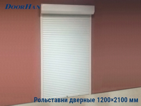 Рольставни на двери 1200×2100 мм в Иркутске от 38153 руб.