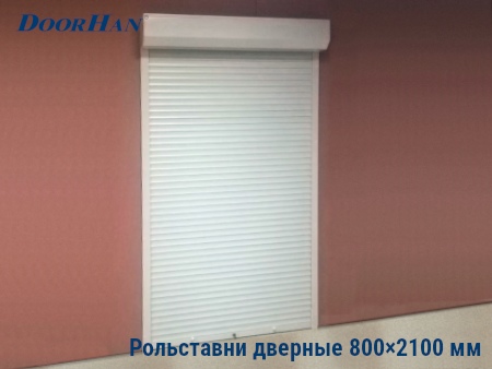 Рольставни на двери 800×2100 мм в Иркутске от 31119 руб.